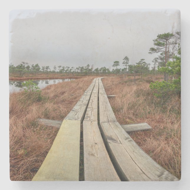 Porta-copo De Pedra Caminho de caminhada em pântano (Frente)