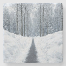 Caminho de Floresta de Inverno Nebuloso Paisagem d