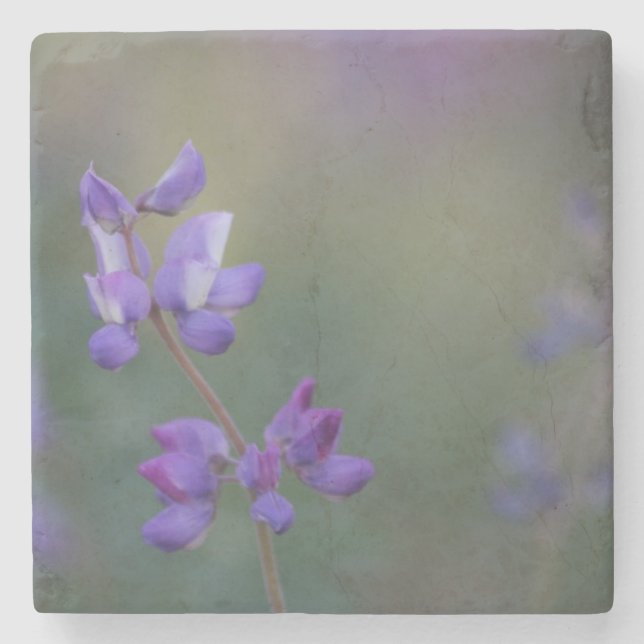 Porta-copo De Pedra Campo de Tremoço (Frente)