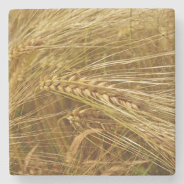 Porta-copo De Pedra Campo de trigo. É o tempo de colheita!
