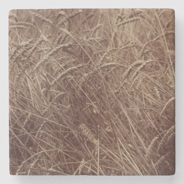 Porta-copo De Pedra Campo de trigo (por Eugène Atget) (Frente)