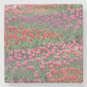 Porta-copo De Pedra Campo De Tulipas