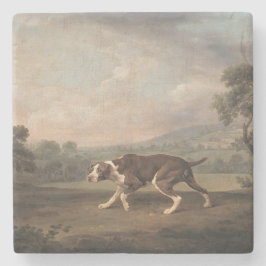 Porta-copo De Pedra Canino Espanhol (por George Stubbs)