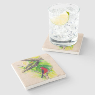 Porta-copo De Pedra Cântaras-escarlate Aves Cássaros Cobra-d'água