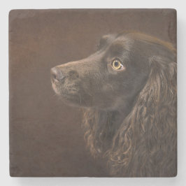 Porta-copo De Pedra Cão De Cabelo Castanho