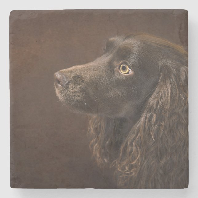Porta-copo De Pedra Cão De Cabelo Castanho (Frente)
