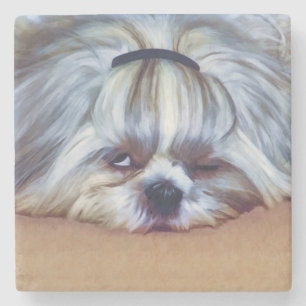 Porta-copo De Pedra Cão sonolento de Shih Tzu