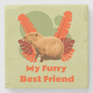 Porta-copo De Pedra Capybara Minha Fúria Melhor Amiga
