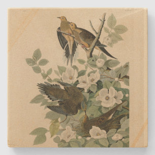 Porta-copo De Pedra Carolina Turtle Dove Mourning Dove Audubon's Birds
