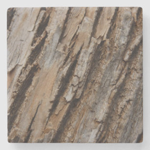 Porta-copo De Pedra Casca de Árvore I Design Texturizado Abstrato Natu