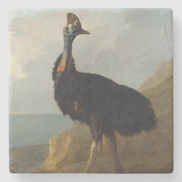 Porta-copo De Pedra Cassowary (Australian Bird) (Wild Animal Art)