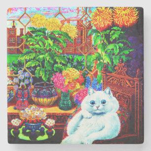 Porta-copo De Pedra Cat College Master