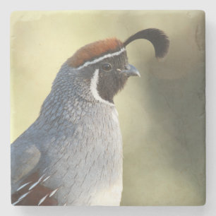 Porta-copo De Pedra Cauda masculina