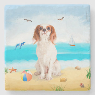 Porta-copo De Pedra Cavalier King Dog em Beach