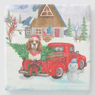 Porta-copo De Pedra Cavalier King Dog Em Neve De Caminhão No Parto De 