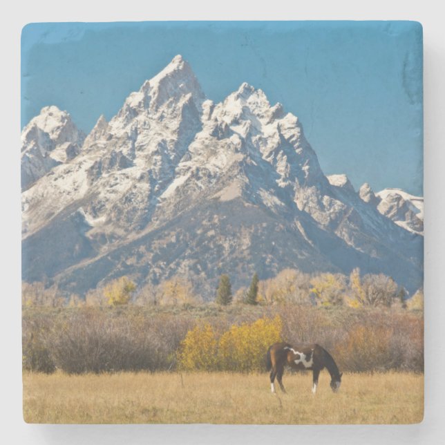 Porta-copo De Pedra Cavalo e Grand Tetons, Ranhura da Cabeça de Moose (Frente)