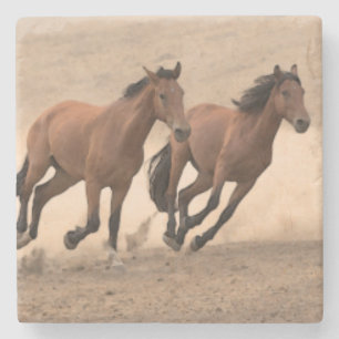 Porta-copo De Pedra Cavalo na queda II