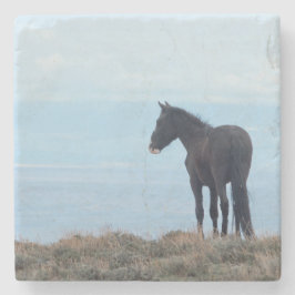 Porta-copo De Pedra Cavalo Selvagem