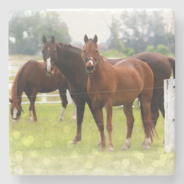 Porta-copo De Pedra Cavalos (Frente)