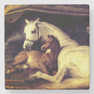 Porta-copo De Pedra Cavalos de Landseer