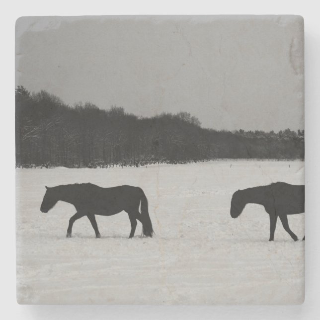 Porta-copo De Pedra Cavalos no litoral da neve (Frente)