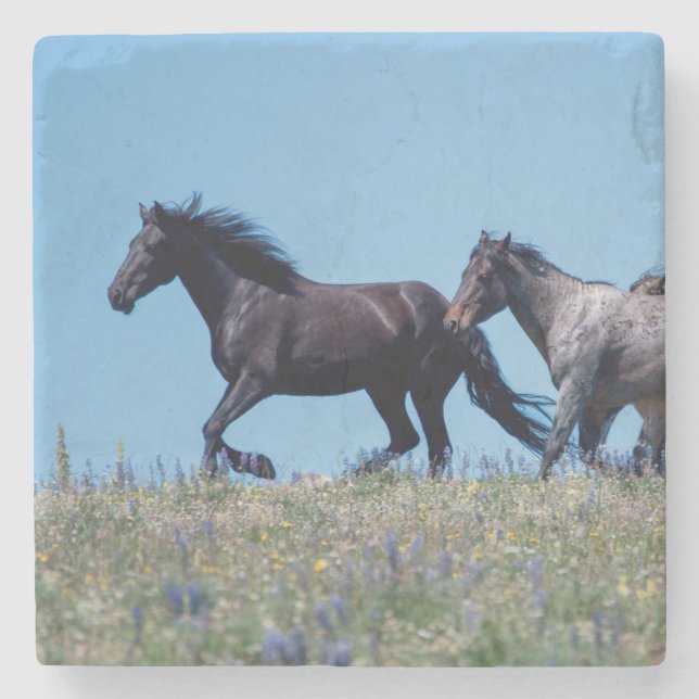 Porta-copo De Pedra Cavalos Selvagens em Tremoço (Frente)