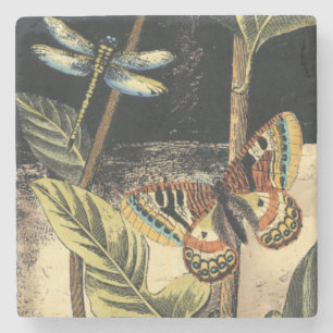 Porta-copo De Pedra Cena da Natureza Escura pelo Vision Studio