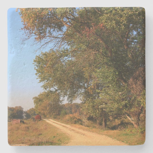 Porta-copo De Pedra Censura na Porta copos Sq Grécia Norte (Frente)