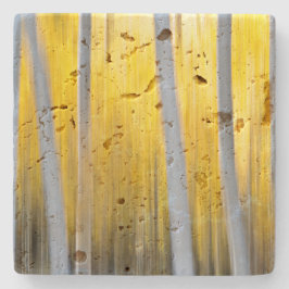 Porta-copo De Pedra cercado por Aspen