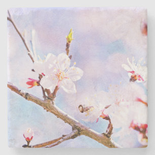 Porta-copo De Pedra Cereja Japonesa - Sakura em Bloom