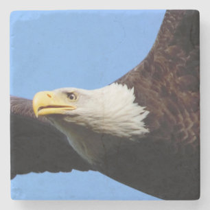 Porta-copo De Pedra Céu azul da águia americana