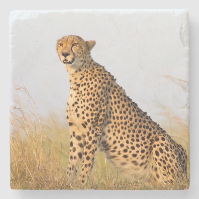 Porta-copo De Pedra Cheetah (Frente)