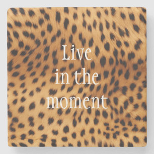 Porta-copo De Pedra Cheetah Animal fur