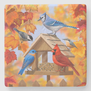 Porta-copo De Pedra Chickadee Bluebird - Folhas de outono de Azul-Card