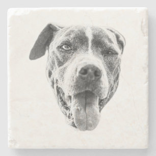 Porta-copo De Pedra Chilly Dusk Canine Echo