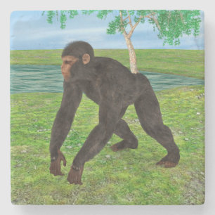 Porta-copo De Pedra Chimpanzé
