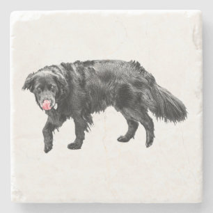 Porta-copo De Pedra Cinnamon Steam, Scarlet Lick