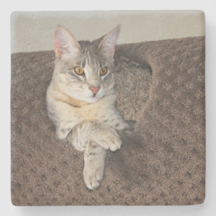 Porta-copo De Pedra Cinza Savannah Cat Square