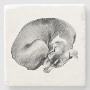 Porta-copo De Pedra Círculo de Facilidade