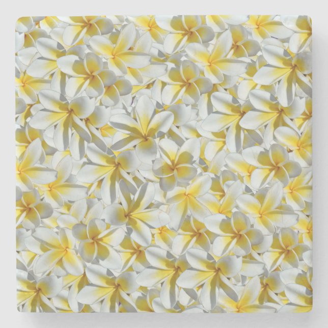 Porta-copo De Pedra Cluster De Frangipani Amarelo E Branco, (Frente)