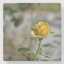 Coleção 2 da porta copos do jardim de rosas de 4