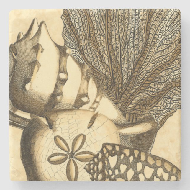 Porta-copo De Pedra Coleção Neutral de Cascas e Corais (Frente)