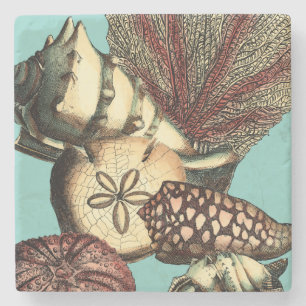 Porta-copo De Pedra Coleção Turquesa Shell e Red Coral