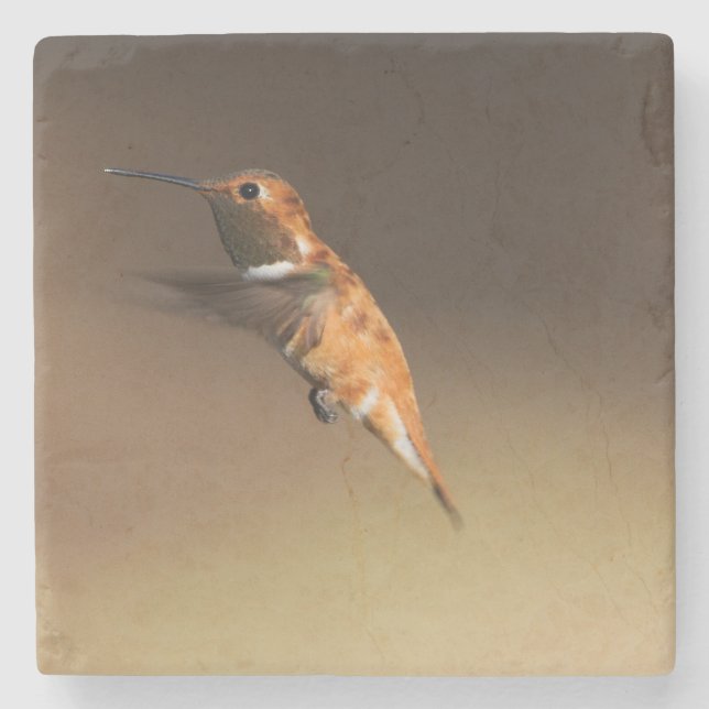 Porta-copo De Pedra Colibri Rufous em vôo (Frente)
