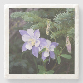 Porta-copo De Pedra Columbine Colorado 4"x4" Porta copos mármore