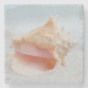 Porta-copo De Pedra Conch Shell