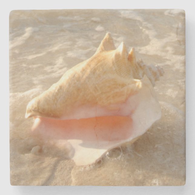 Porta-copo De Pedra Conch Shell na areia na praia tropical (Frente)