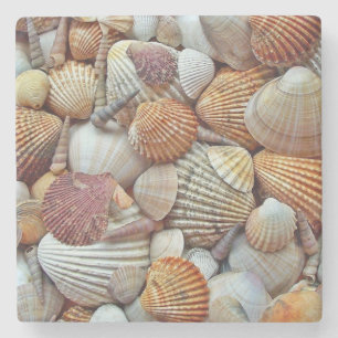 Porta-copo De Pedra Conchas do Mar