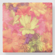 Conjunto de Flores Coloridas em Arenito
