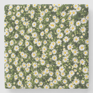 Porta-copo De Pedra Conjunto de Pires Whimsical Daisy Meadow